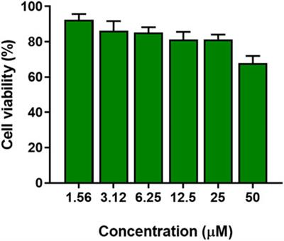 KDEON WK-11: A short antipseudomonal peptide with promising potential